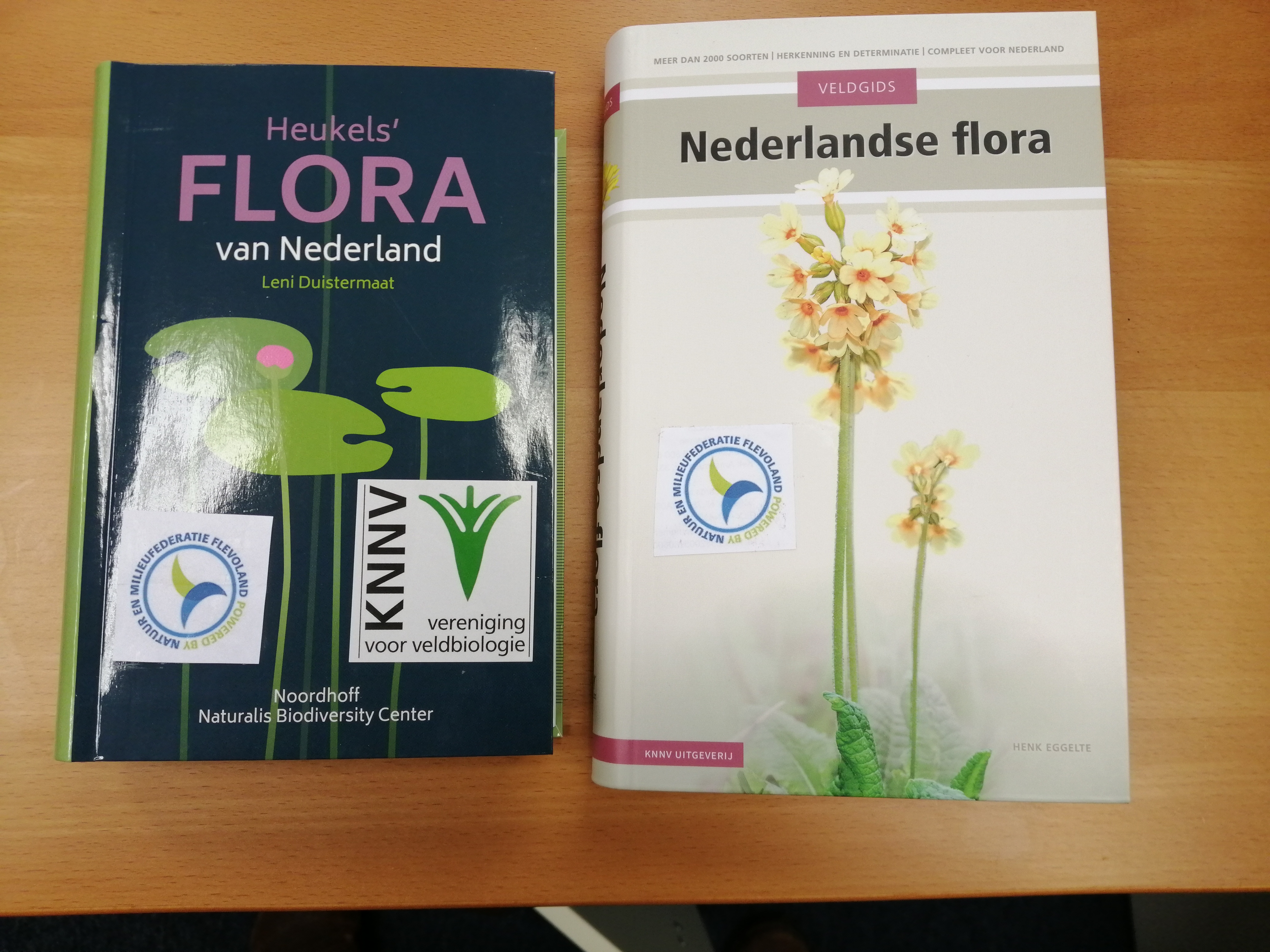 Botanisch stoepkrijten